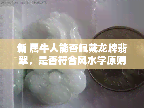 新 属牛人能否佩戴龙牌翡翠，是否符合风水学原则？