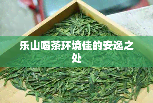 乐山喝茶环境佳的安逸之处