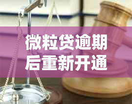 微粒贷逾期后重新开通的可能性及相关流程解析