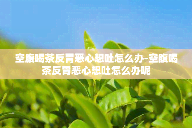 空腹喝茶反胃恶心想吐怎么办-空腹喝茶反胃恶心想吐怎么办呢