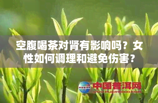 空腹喝茶对肾有影响吗？女性如何调理和避免伤害？