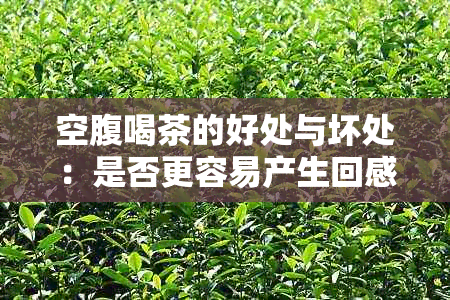 空腹喝茶的好处与坏处：是否更容易产生回感？如何正确饮用以避免不适？