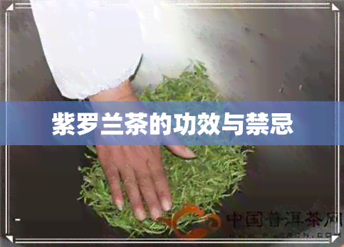 紫罗兰茶的功效与禁忌