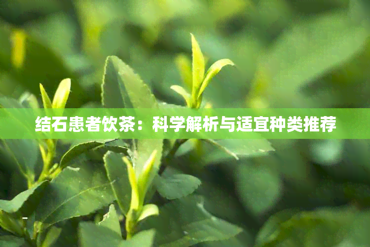 结石患者饮茶：科学解析与适宜种类推荐