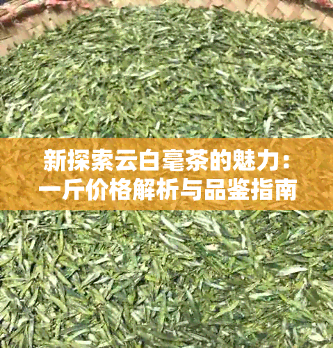 新探索云白毫茶的魅力：一斤价格解析与品鉴指南