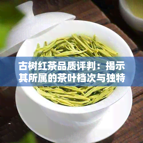 古树红茶品质评判：揭示其所属的茶叶档次与独特魅力