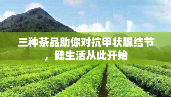 三种茶品助你对抗甲状腺结节，健生活从此开始