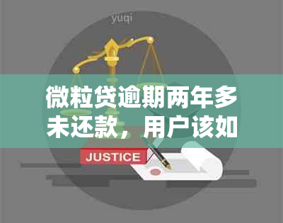 微粒贷逾期两年多未还款，用户该如何处理？解决方法全面解析