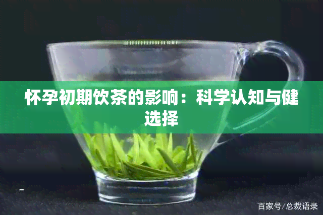 怀孕初期饮茶的影响：科学认知与健选择