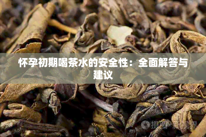 怀孕初期喝茶水的安全性：全面解答与建议