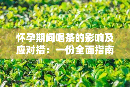 怀孕期间喝茶的影响及应对措：一份全面指南