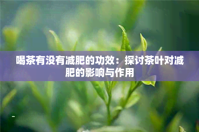 喝茶有没有减肥的功效：探讨茶叶对减肥的影响与作用