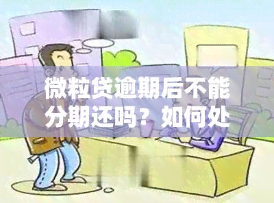 微粒贷逾期后不能分期还吗？如何处理？