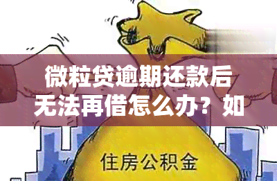 微粒贷逾期还款后无法再借怎么办？如何恢复借款资格？