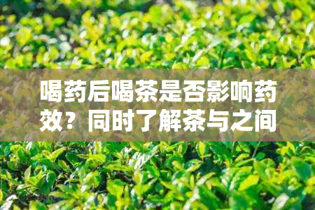 喝后喝茶是否影响效？同时了解茶与之间的相互作用