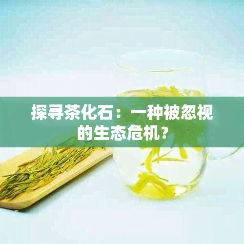 探寻茶化石：一种被忽视的生态危机？