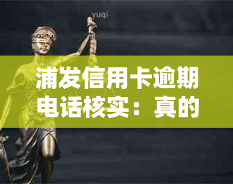 浦发信用卡逾期电话核实：真的要上门吗？如何应对和避免不必要的麻烦？