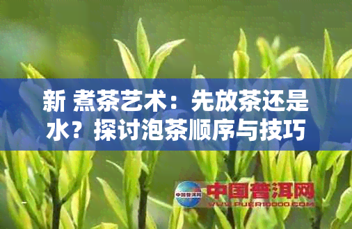 新 煮茶艺术：先放茶还是水？探讨泡茶顺序与技巧