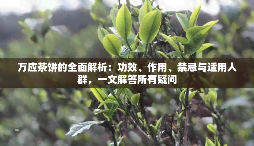 万应茶饼的全面解析：功效、作用、禁忌与适用人群，一文解答所有疑问