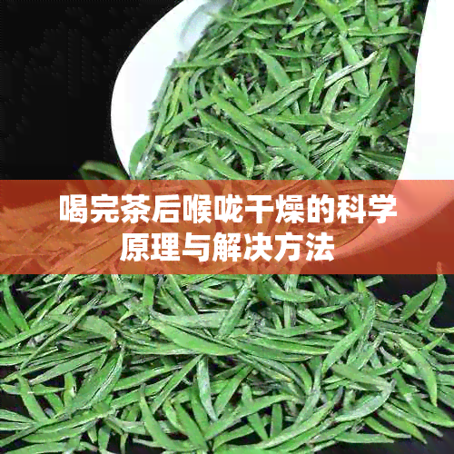 喝完茶后喉咙干燥的科学原理与解决方法