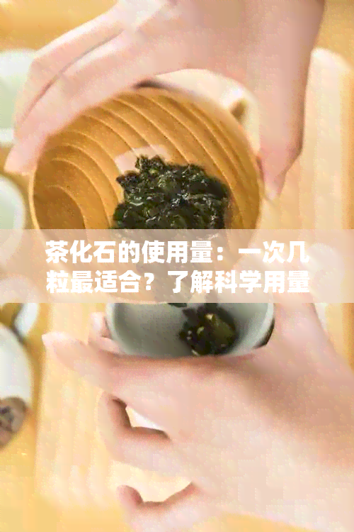 茶化石的使用量：一次几粒最适合？了解科学用量提升体验