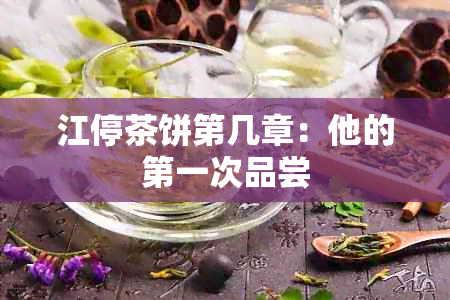 江停茶饼第几章：他的之一次品尝