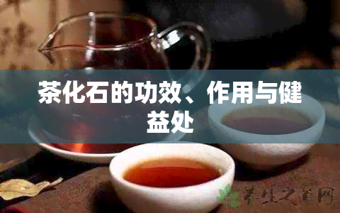 茶化石的功效、作用与健益处