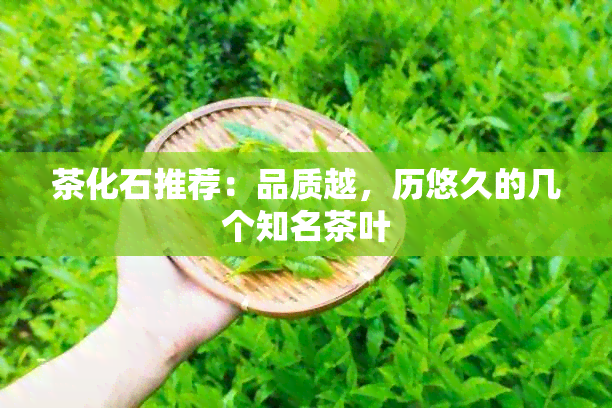 茶化石推荐：品质越，历悠久的几个知名茶叶