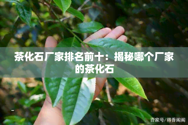 茶化石厂家排名前十：揭秘哪个厂家的茶化石