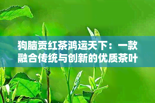 狗脑贡红茶鸿运天下：一款融合传统与创新的优质茶叶，让您的生活更加精彩！