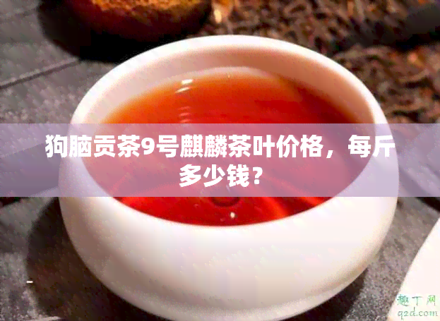 狗脑贡茶9号麒麟茶叶价格，每斤多少钱？