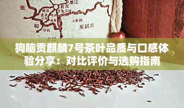 狗脑贡麒麟7号茶叶品质与口感体验分享：对比评价与选购指南