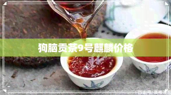 狗脑贡茶9号麒麟价格