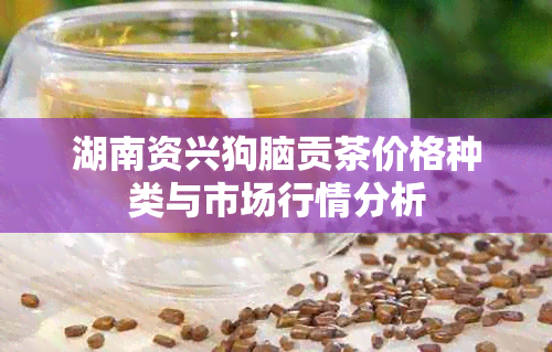 湖南资兴狗脑贡茶价格种类与市场行情分析