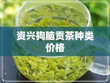 资兴狗脑贡茶种类价格