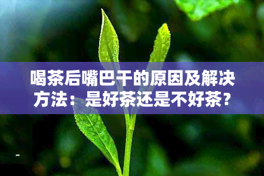 喝茶后嘴巴干的原因及解决方法：是好茶还是不好茶？