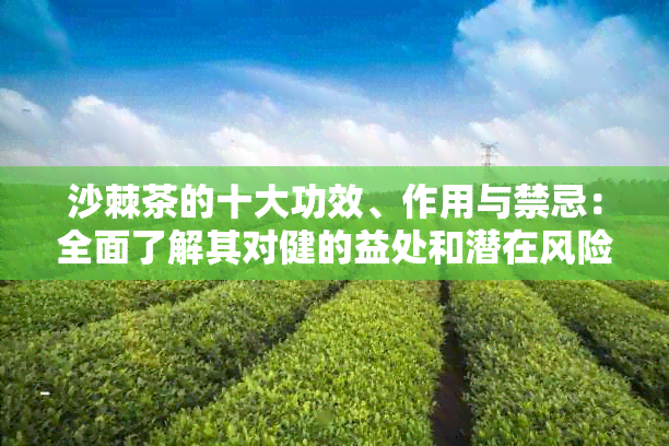 沙棘茶的十大功效、作用与禁忌：全面了解其对健的益处和潜在风险