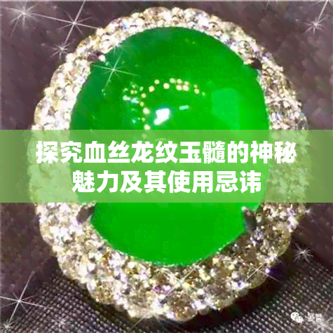 探究血丝龙纹玉髓的神秘魅力及其使用忌讳