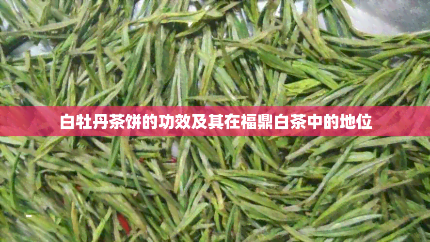 白牡丹茶饼的功效及其在福鼎白茶中的地位