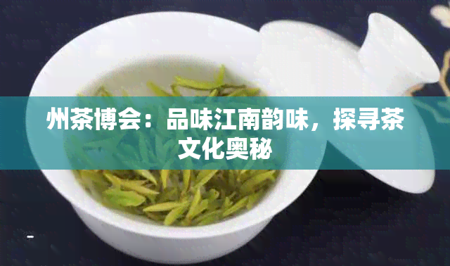 州茶博会：品味江南韵味，探寻茶文化奥秘