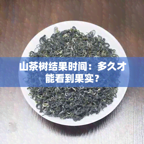 山茶树结果时间：多久才能看到果实？