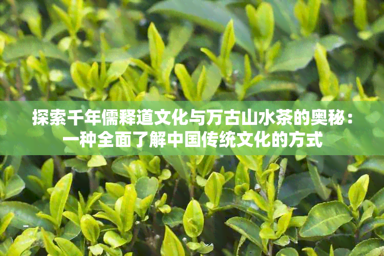 探索千年儒释道文化与万古山水茶的奥秘：一种全面了解中国传统文化的方式