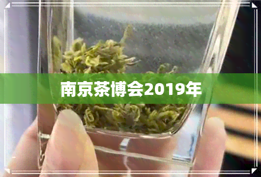 南京茶博会2019年