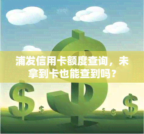 浦发信用卡额度查询，未拿到卡也能查到吗？