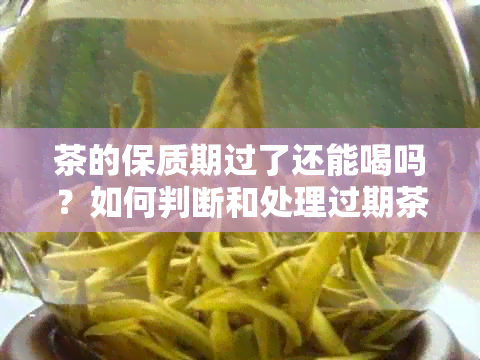 茶的保质期过了还能喝吗？如何判断和处理过期茶叶？