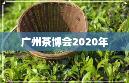 广州茶博会2020年