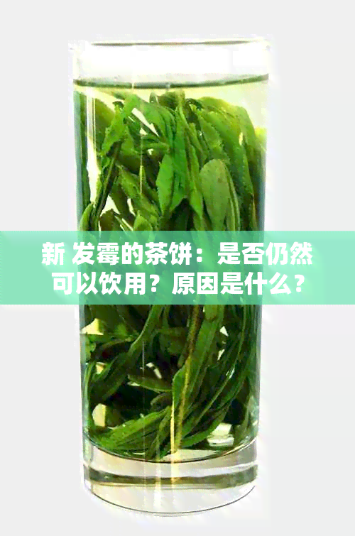 新 发霉的茶饼：是否仍然可以饮用？原因是什么？