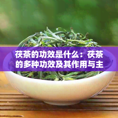 茯茶的功效是什么：茯茶的多种功效及其作用与主治功能。