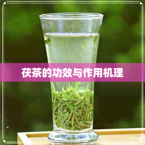 茯茶的功效与作用机理