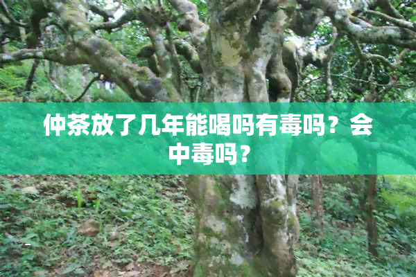 仲茶放了几年能喝吗有吗？会中吗？